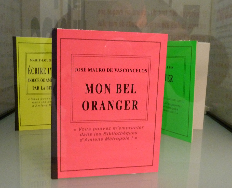 Chemin de lecture - Martine Rassineux et les éditions Anakatabase